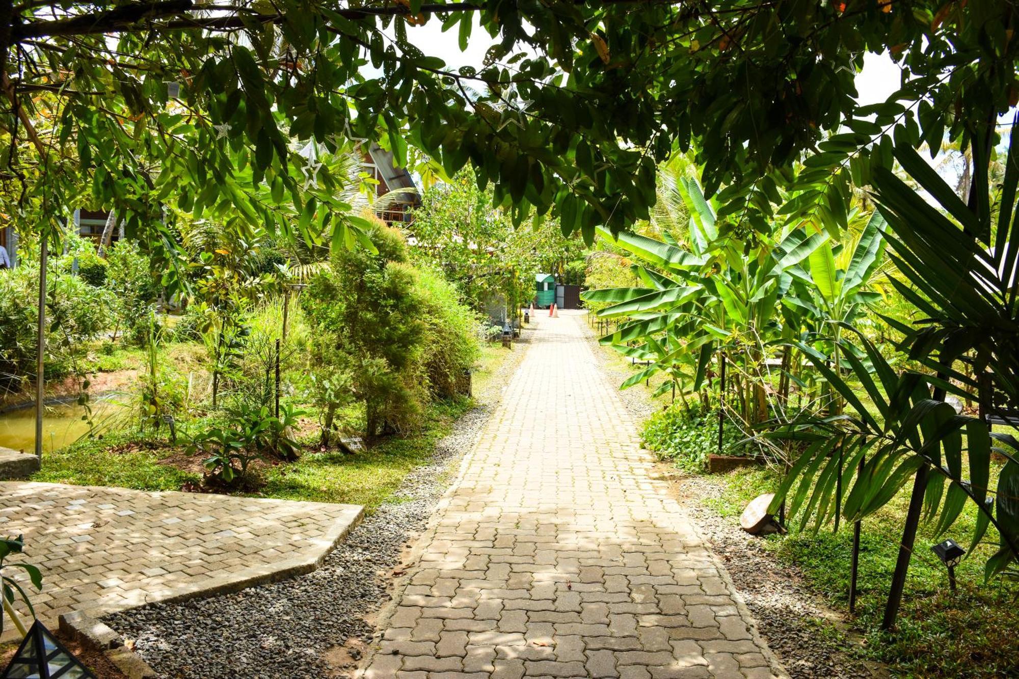 Steps Garden Resort Negombo Exteriér fotografie