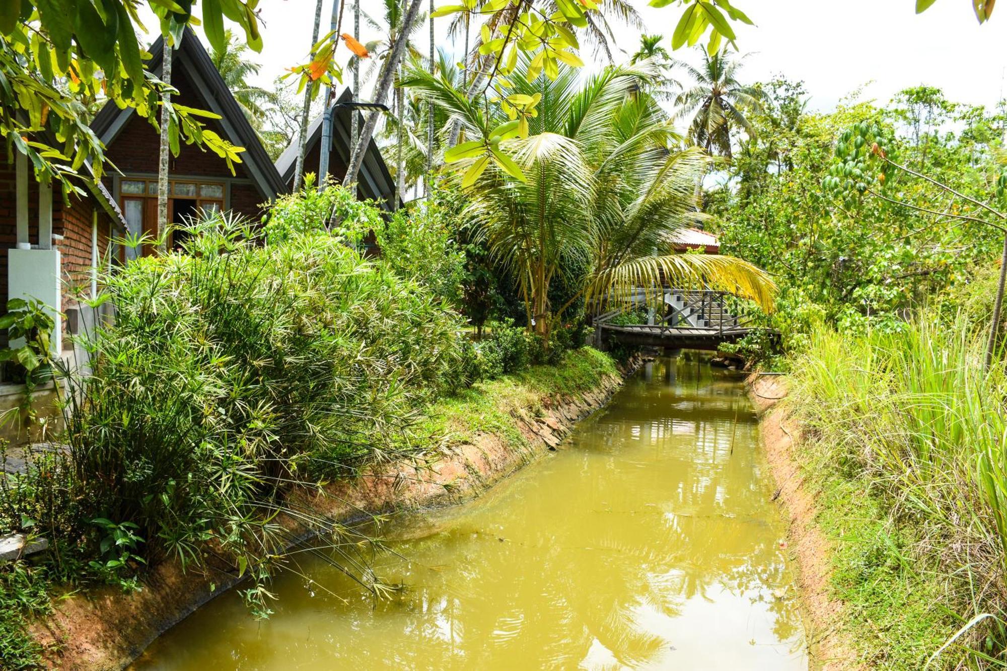Steps Garden Resort Negombo Exteriér fotografie